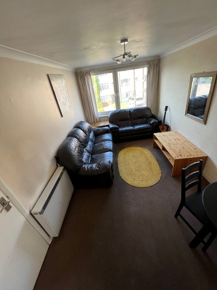 Room Geary Drive in Brentwood
