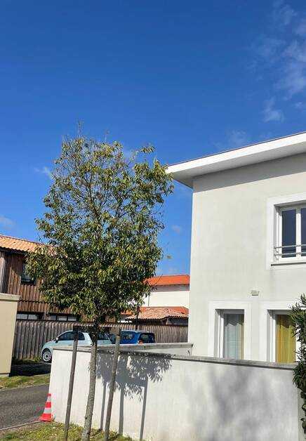 House Rue de la Teste de Buch in Saint-Martin-de-May
