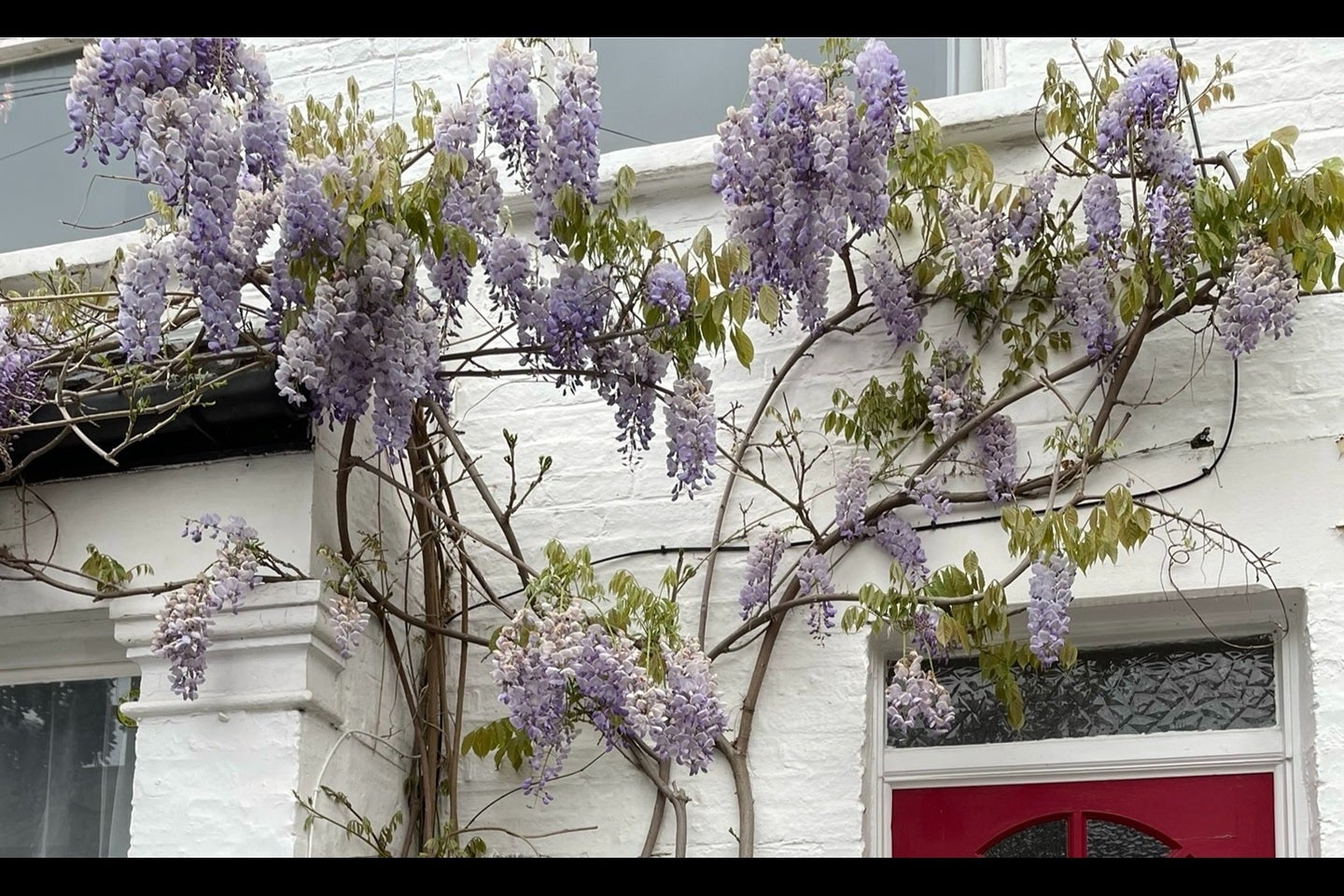 House Meadow Road in Greater London