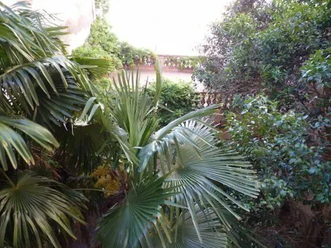 Flat Rue de la Côte Saint-Sauveur in Perpignan