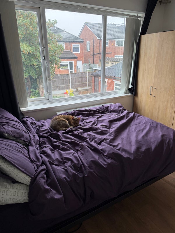 Room Langdale Drive in Bury