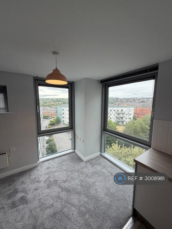 Flat Bramall Lane in Sheffield