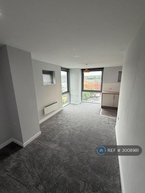 Flat Bramall Lane in Sheffield