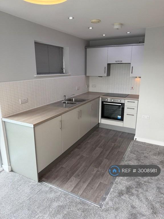 Flat Bramall Lane in Sheffield