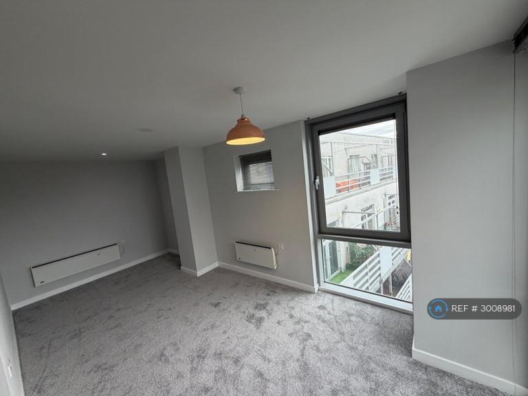 Flat Bramall Lane in Sheffield