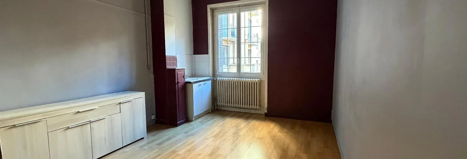 Flat Avenue Félix Faure in Lyon