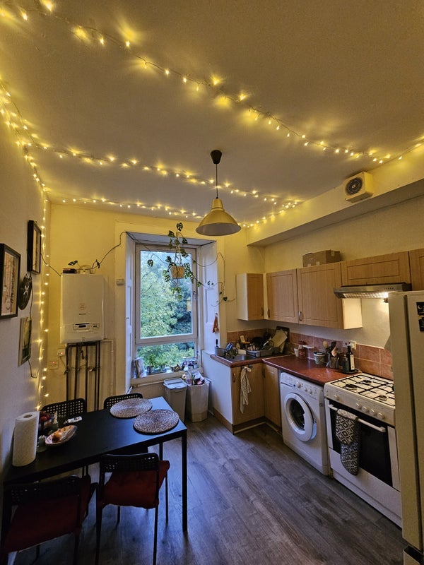 Room Brougham Street in City of Edinburgh