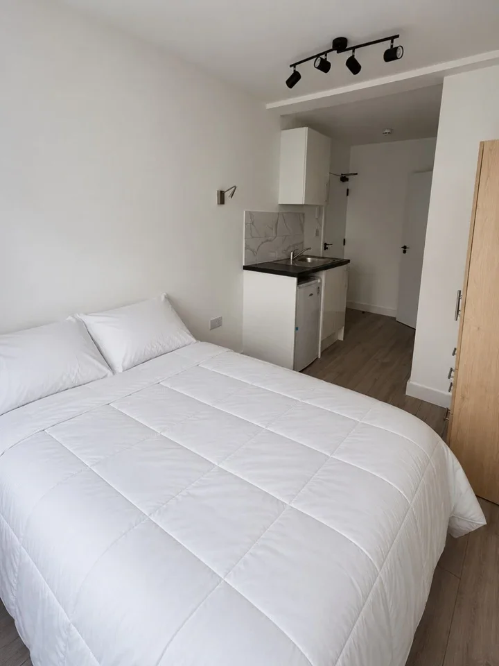 Flat Carmelite Road in Greater London