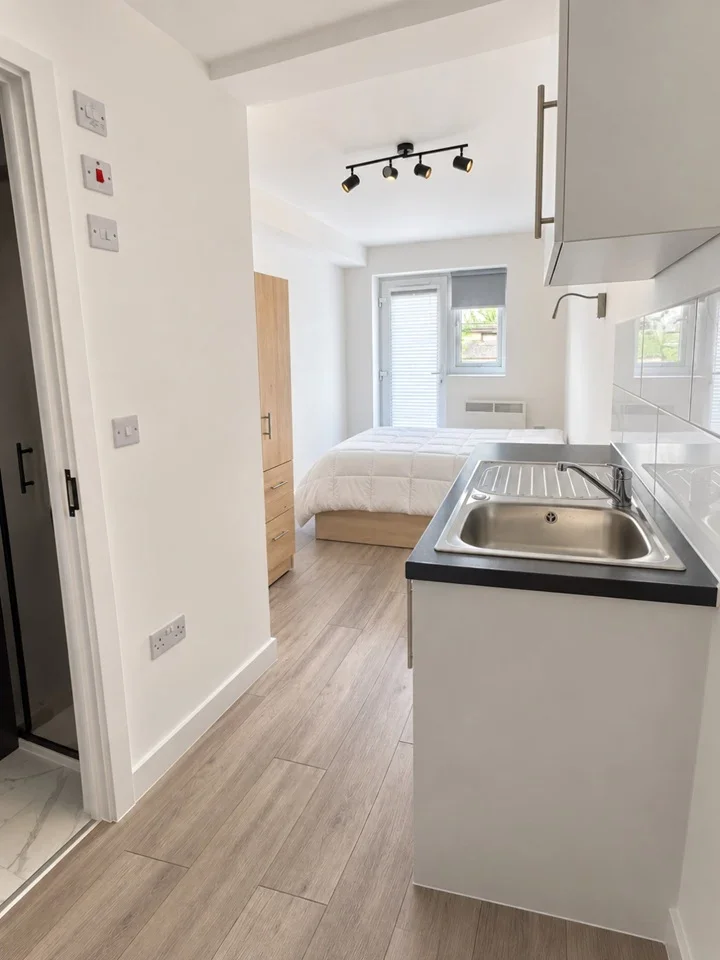 Flat Carmelite Road in Greater London