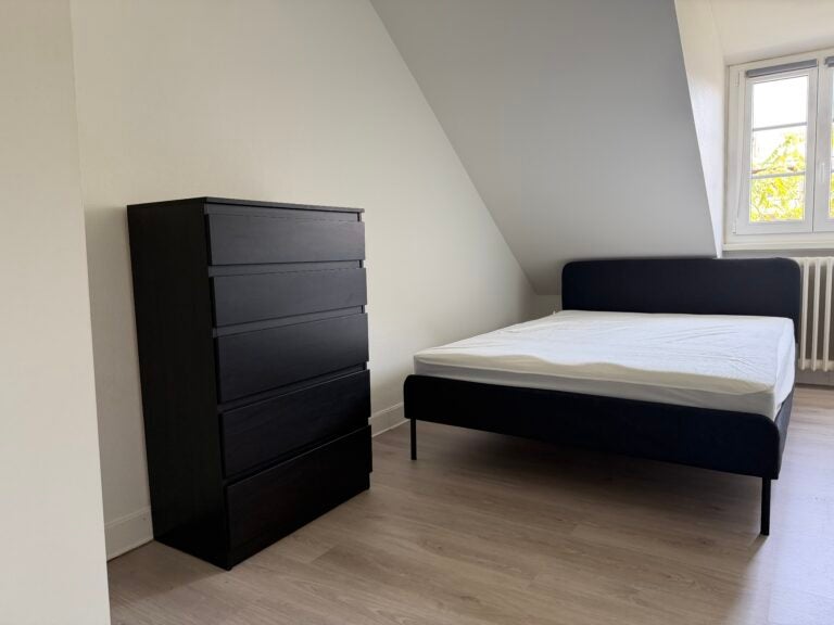 Flat Place du Corbeau in Strasbourg