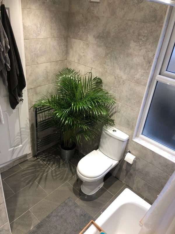 Room Owenite Street in Greater London