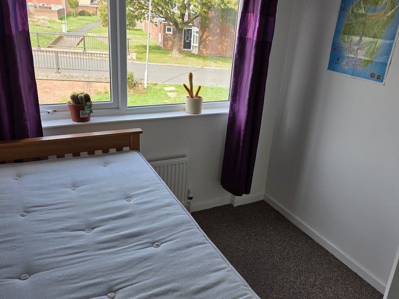 Room Fir Tree Close in Bristol