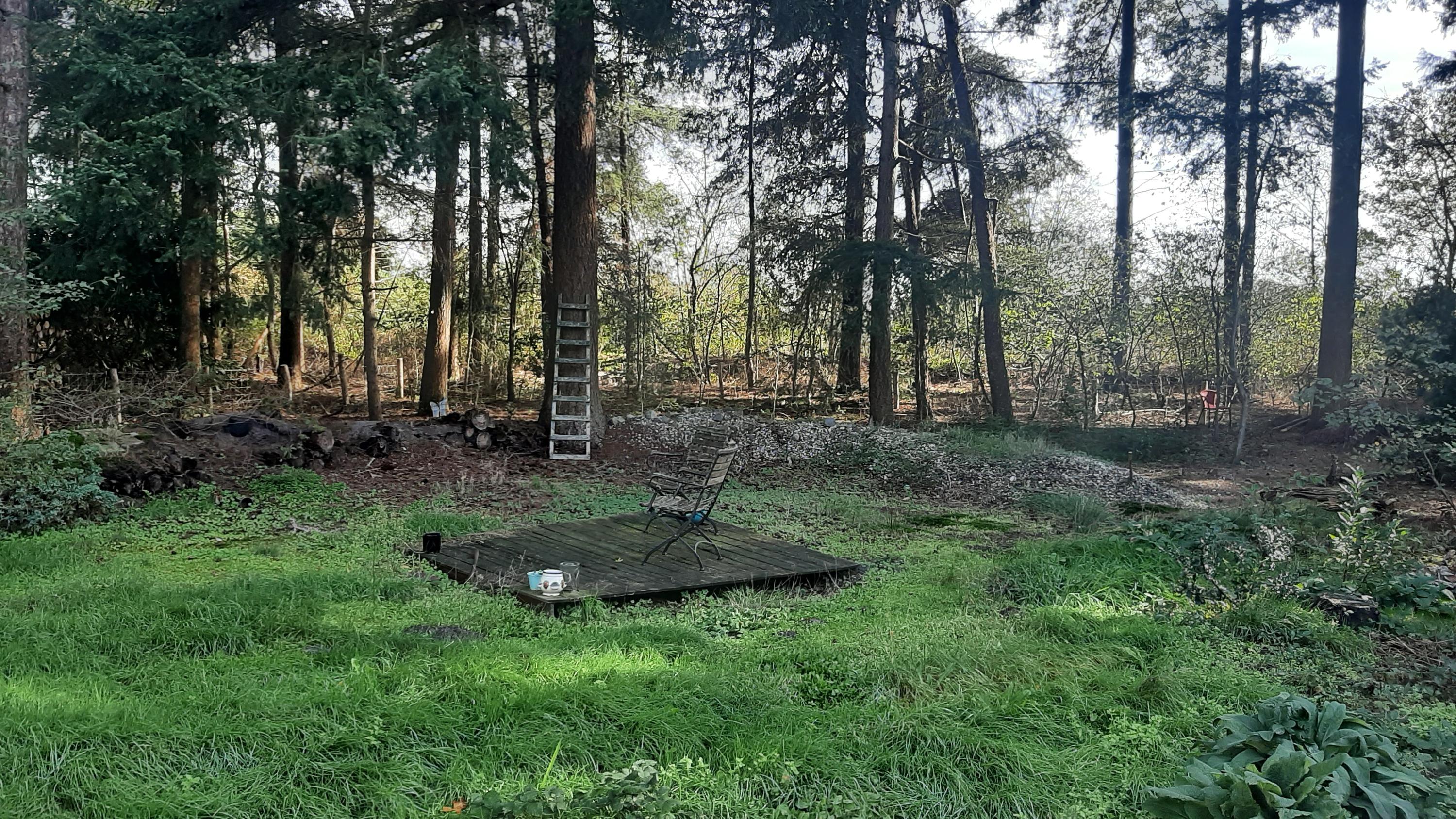 Vrijstaande woning te koop: Fazant 6, Sibculo