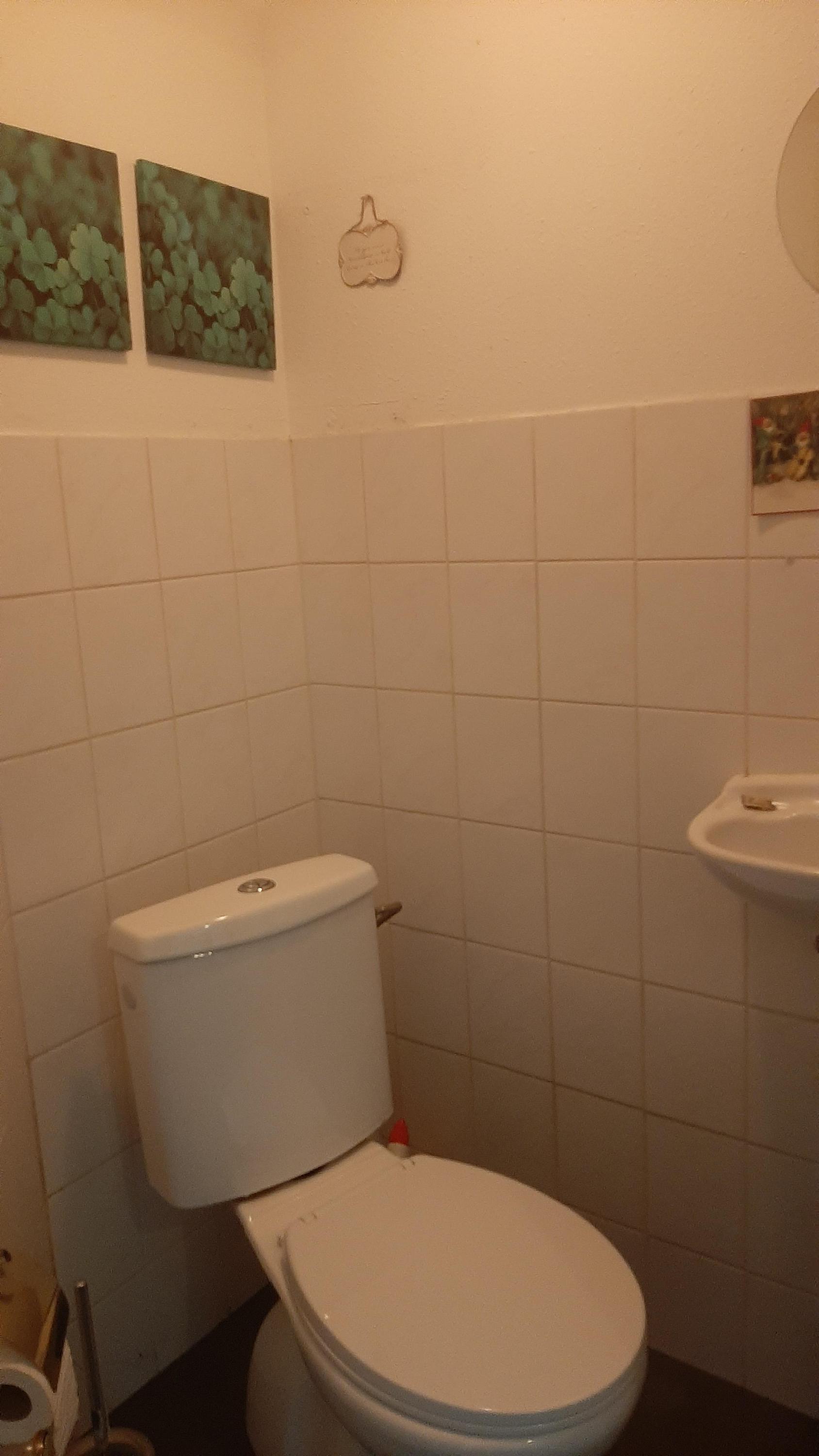 Vrijstaande woning te koop: Fazant 6, Sibculo