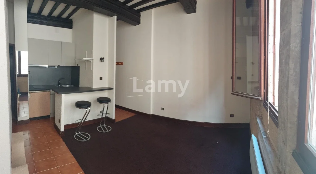 Flat Rue du Duc Raoul in Nancy