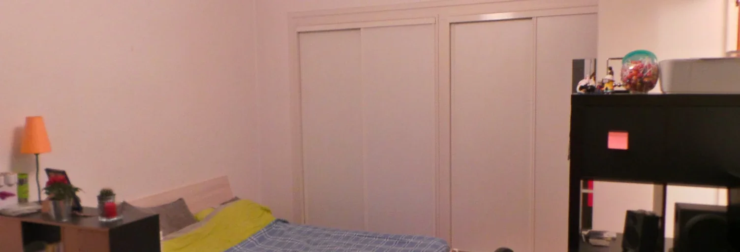 Appartement Rue Sainte-Geneviève à Lyon