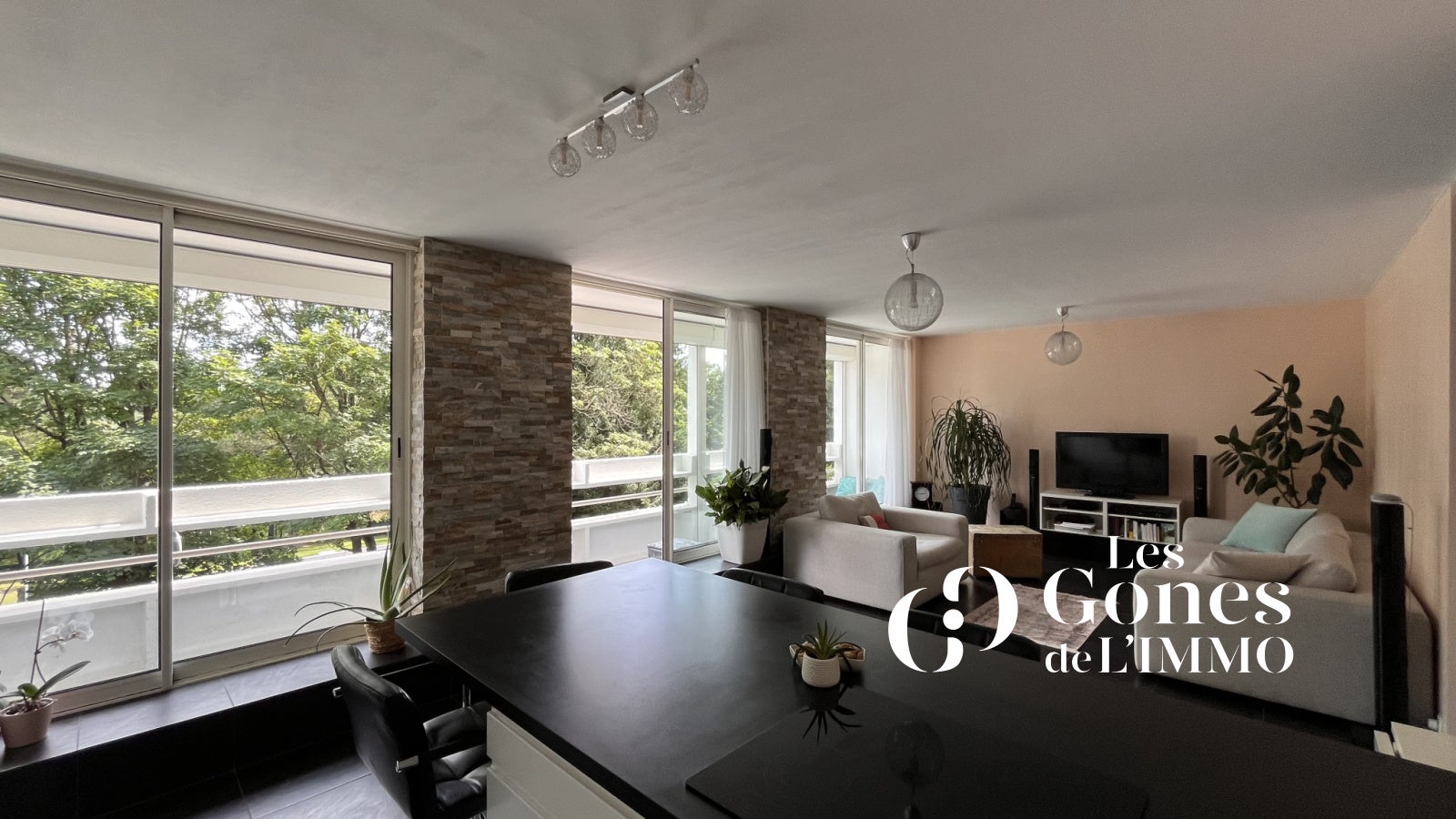 Appartement Rue de la Piémente à Lyon
