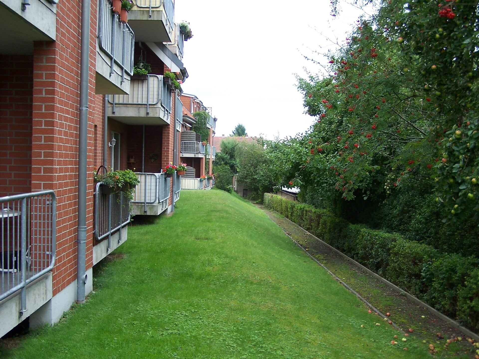 Wohnung Am Silberberg in Radeberg