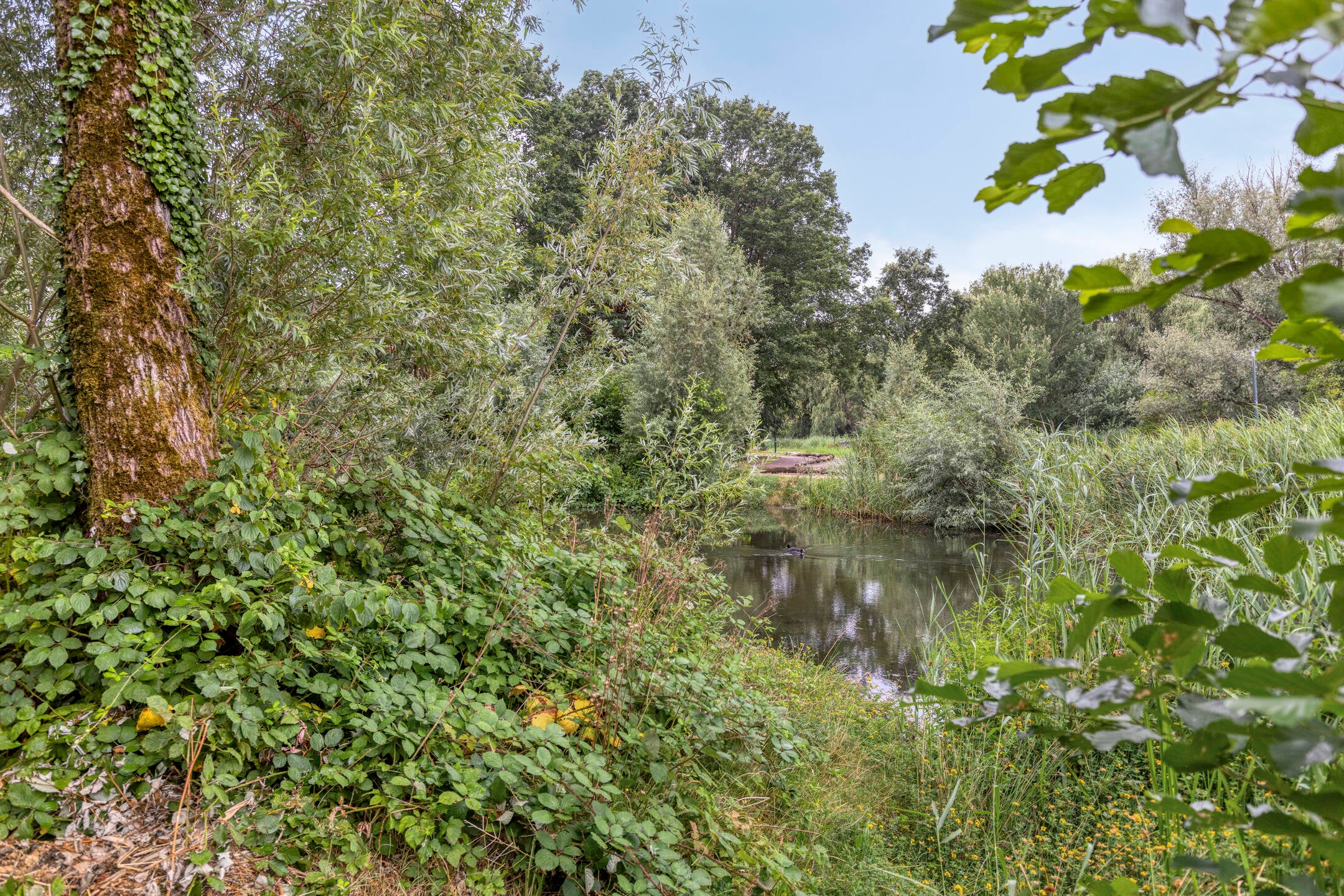 Tussenwoning te koop: Vlie 21, Huizen