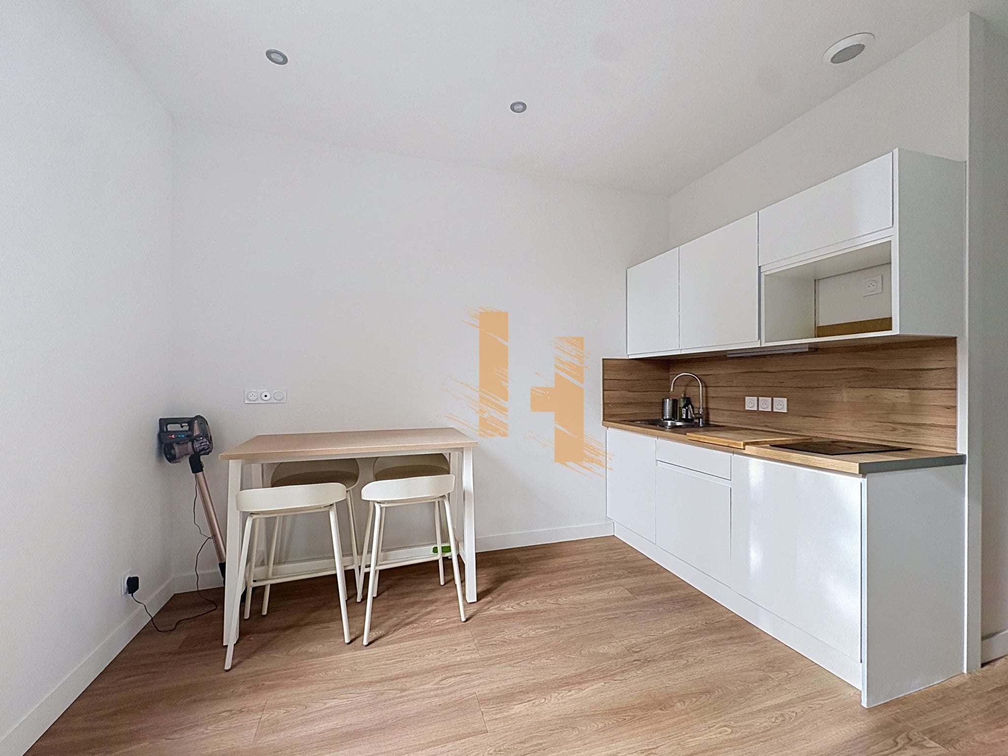 Flat Rue du Docteur Carrier in Lyon