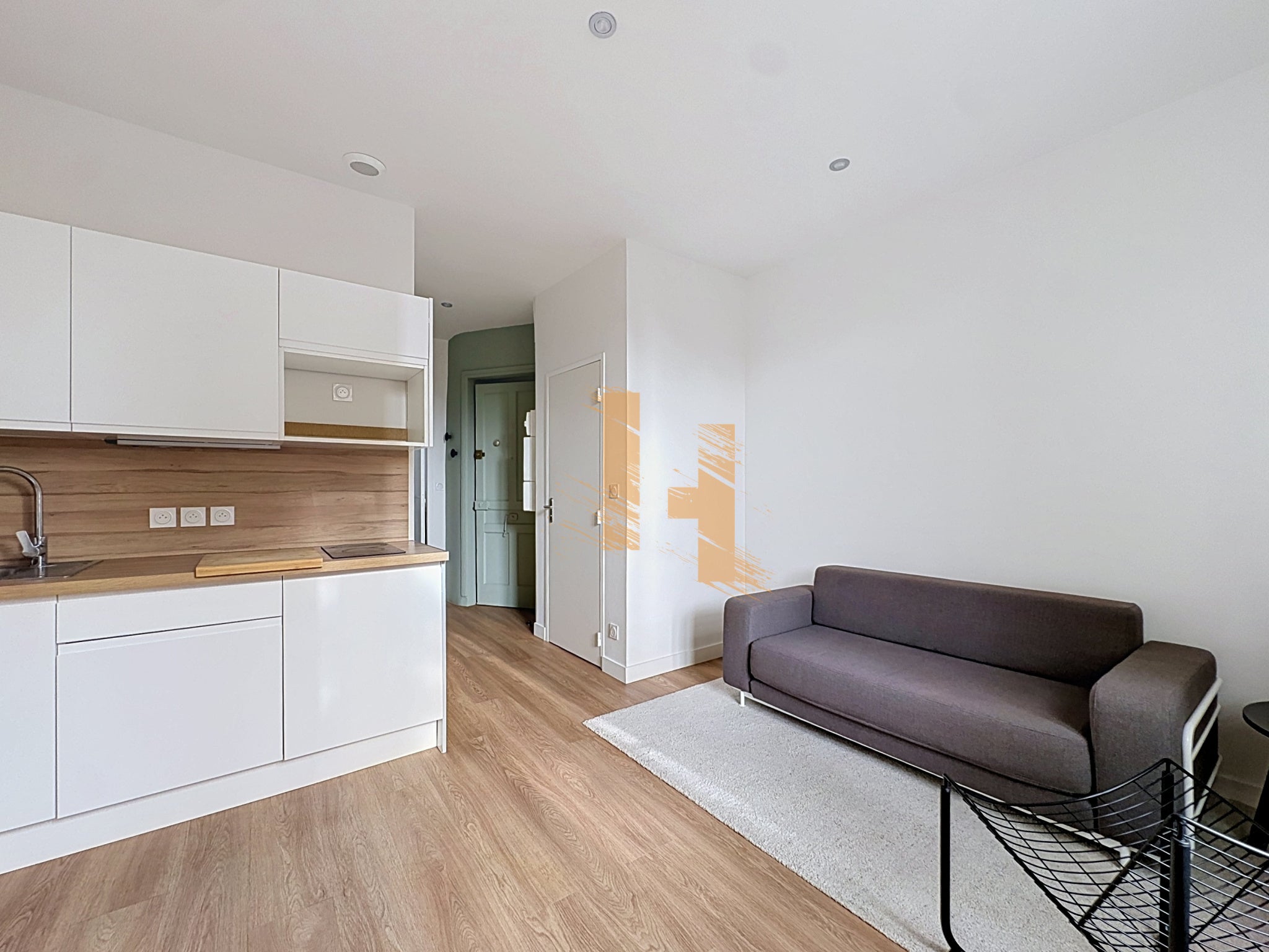 Flat Rue du Docteur Carrier in Lyon