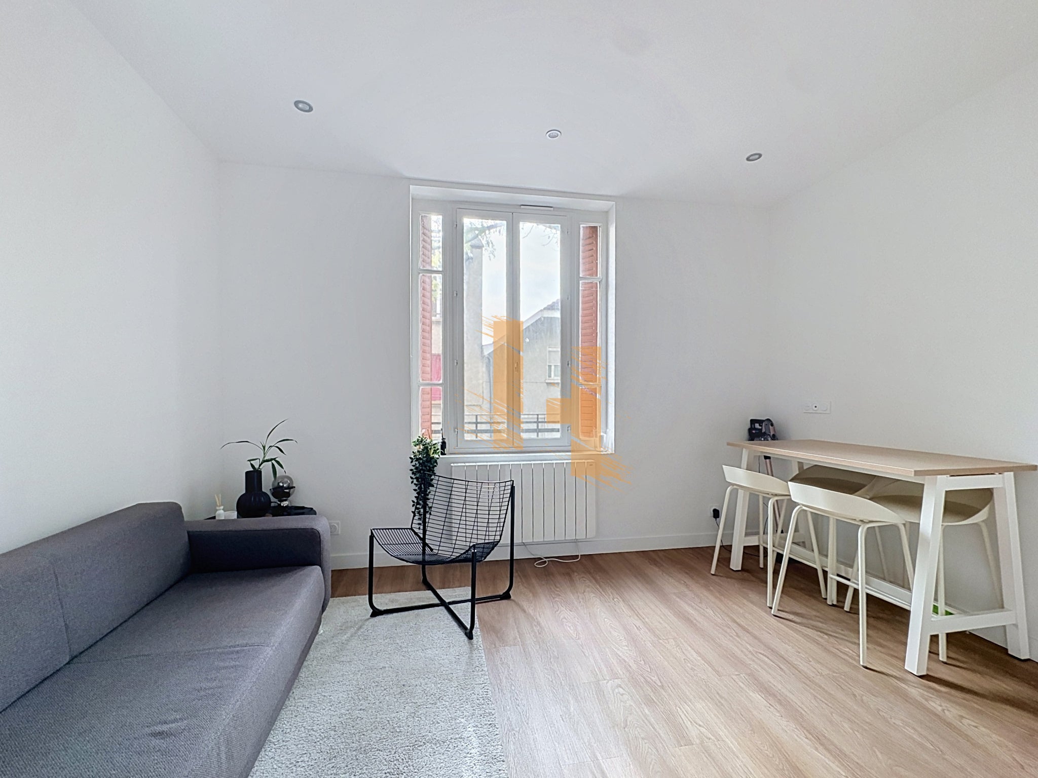 Flat Rue du Docteur Carrier in Lyon