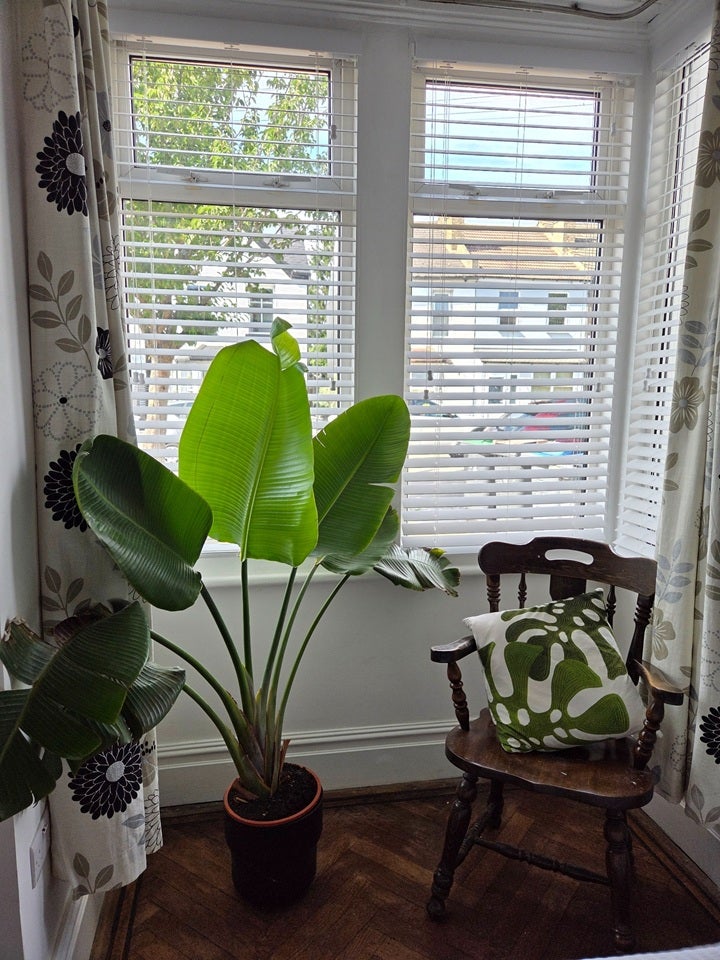 Room Mansfield Road in Greater London
