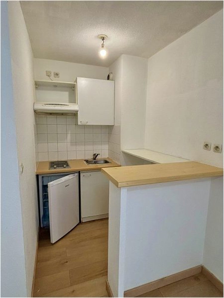 Flat Rue Jeanne Marvig in Toulouse