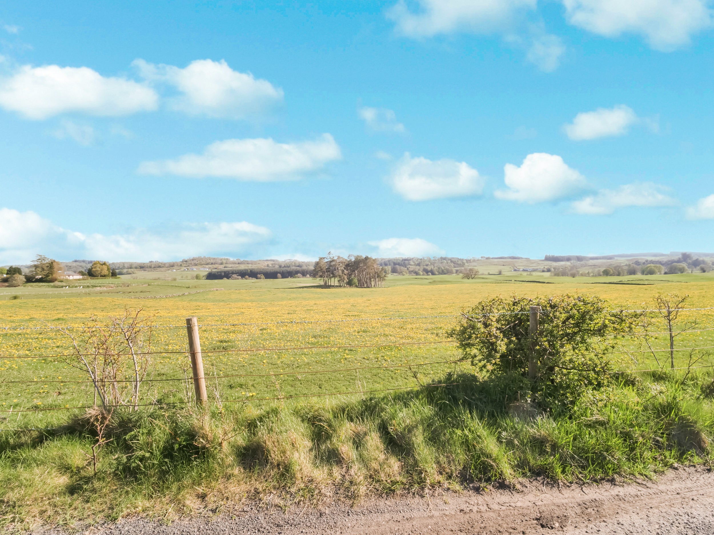 Flat Craigbet Road in Bridge of Weir