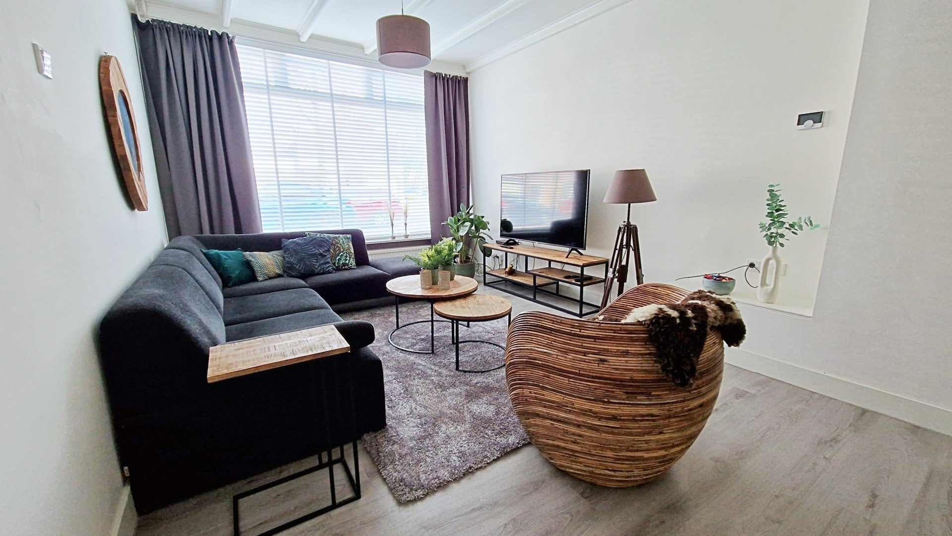 Appartement Wagenaarstraat 15