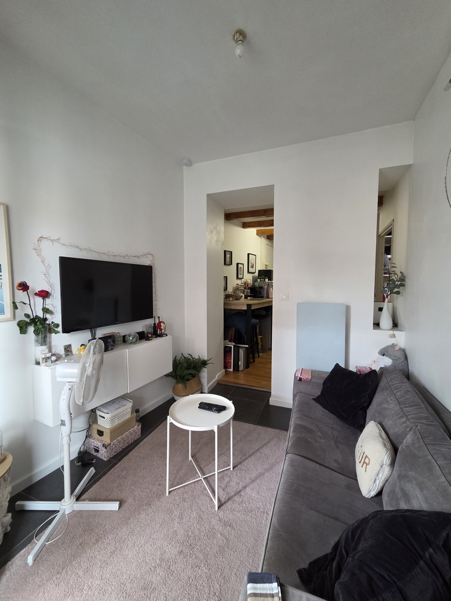 Flat Avenue Honoré Serres in Toulouse