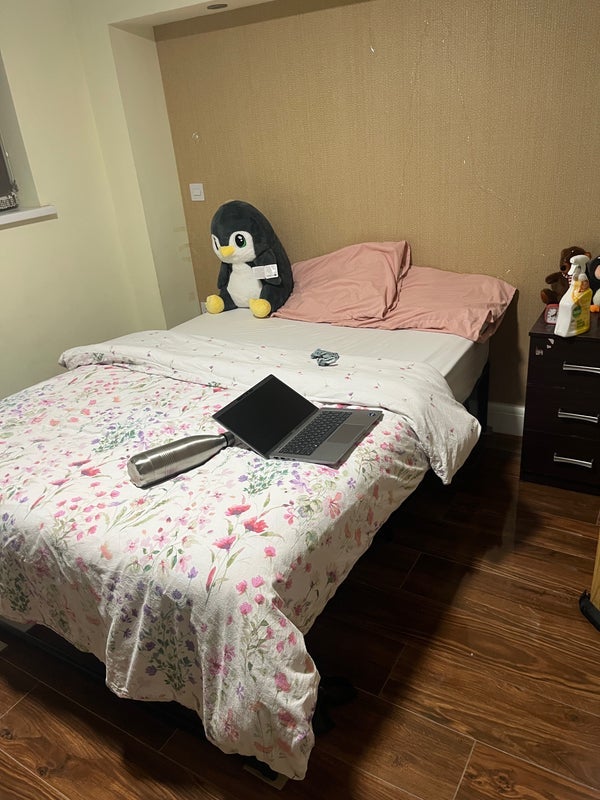 Room Alexandra Palace Way in Greater London