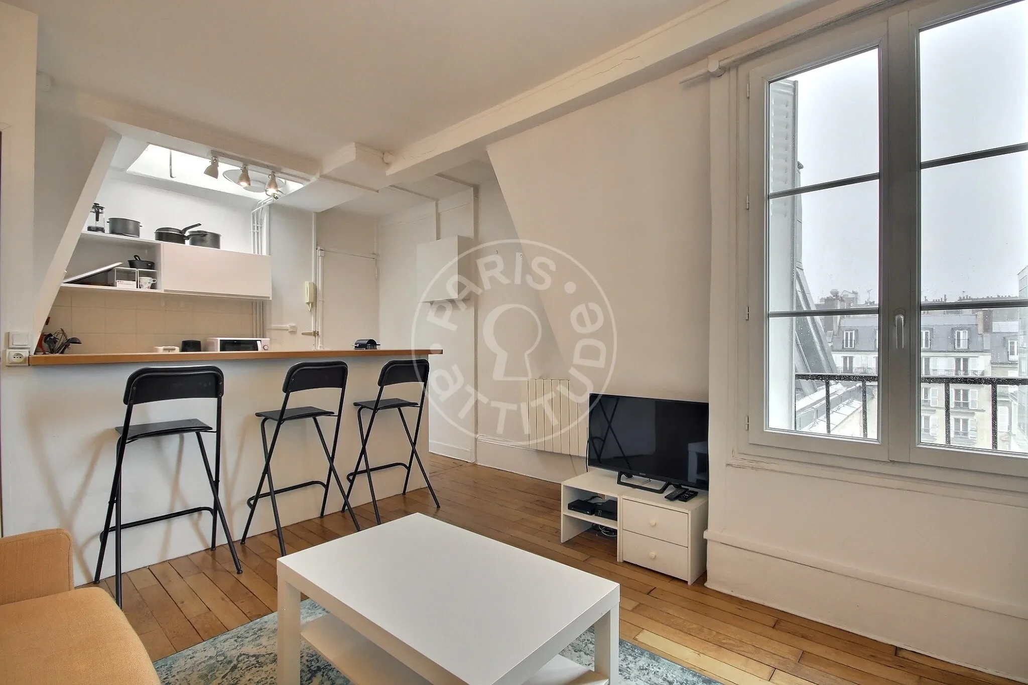 Flat Avenue Trudaine in Paris
