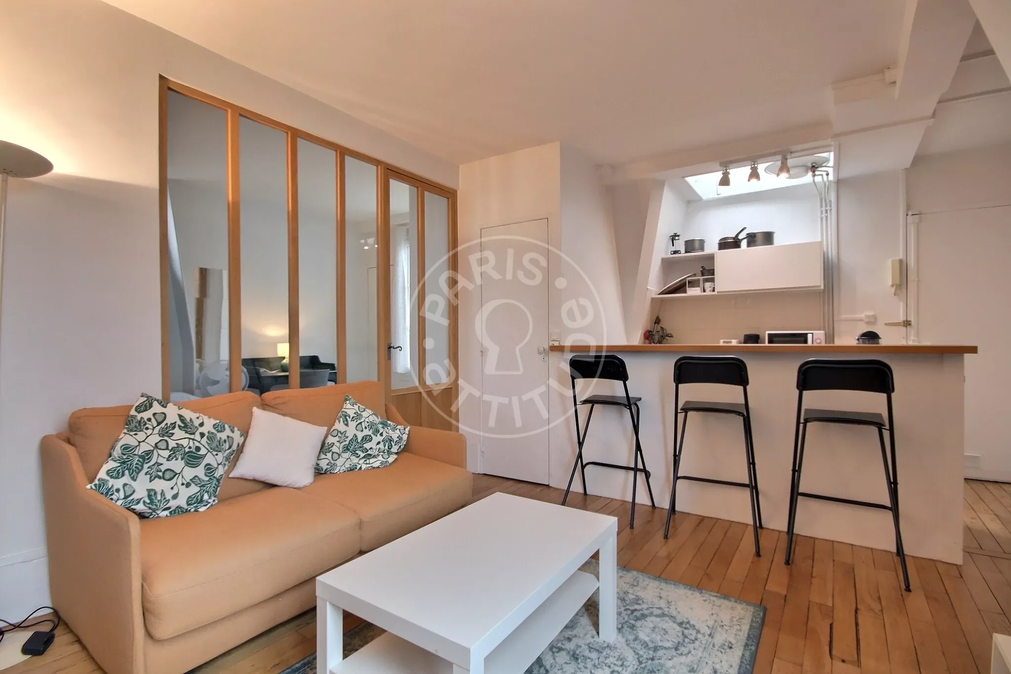 Flat Avenue Trudaine in Paris