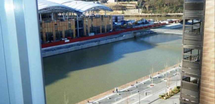 Flat Quai Antoine Riboud in Lyon