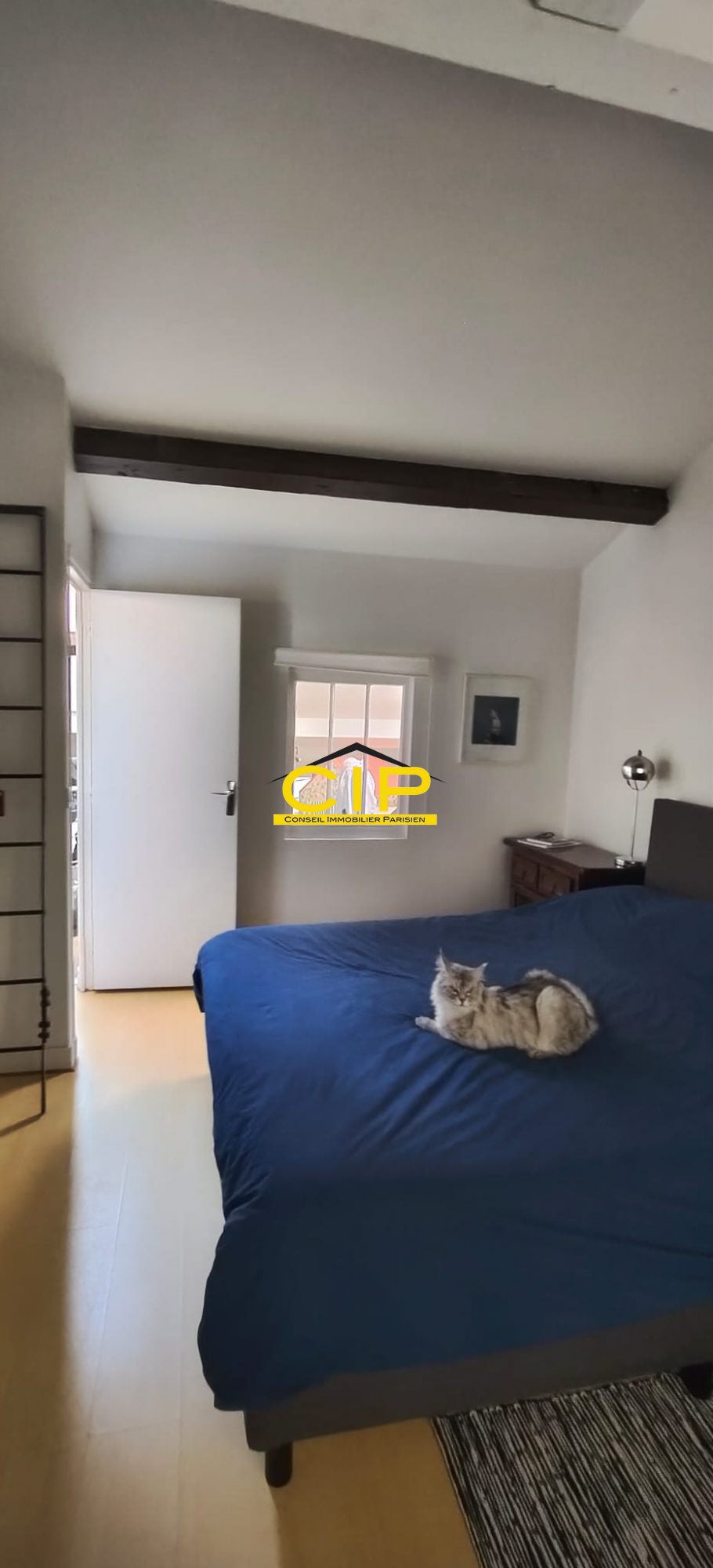 Flat Rue des Pyrénées in Paris