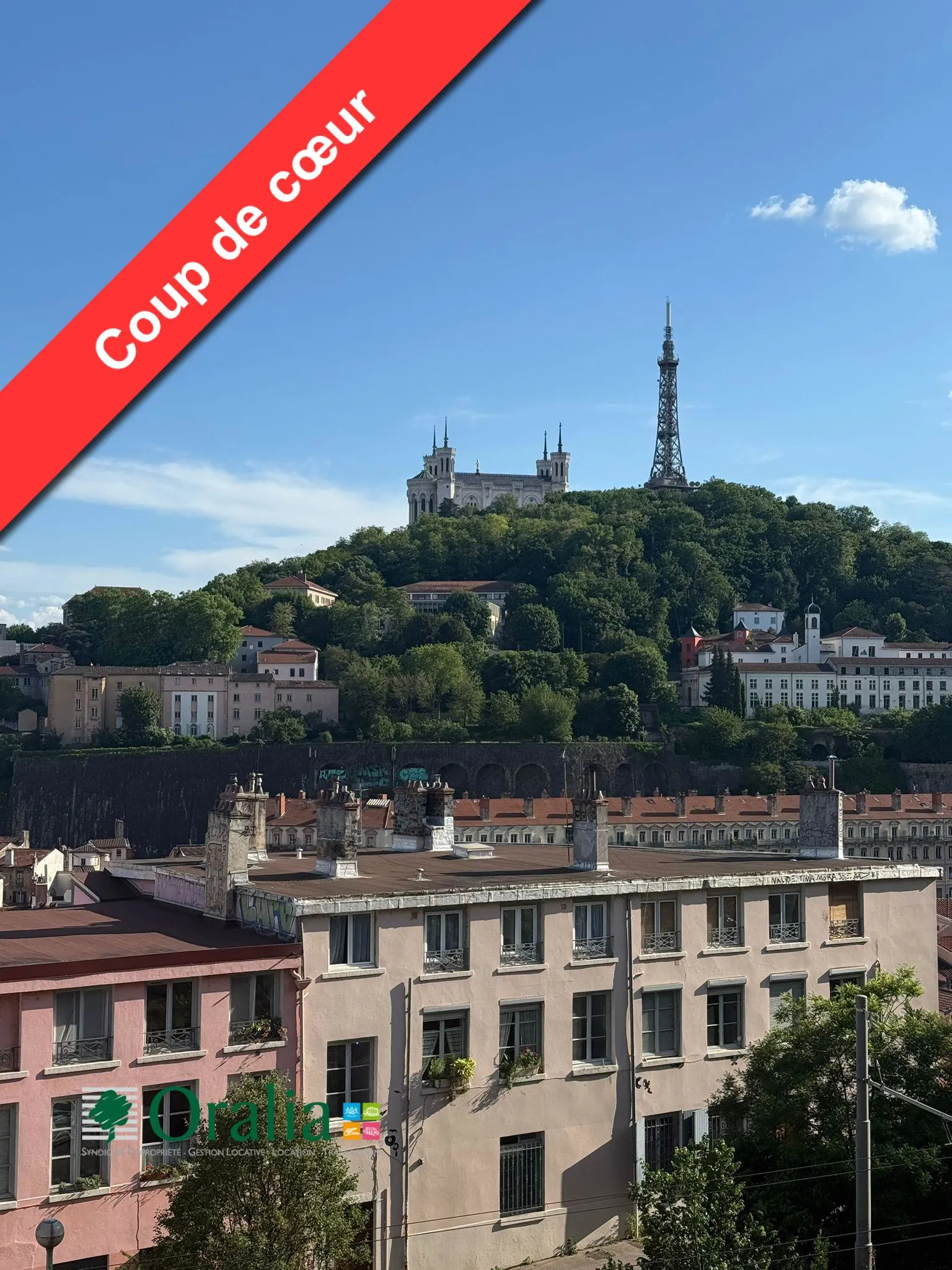 Flat Place Rouville in Lyon