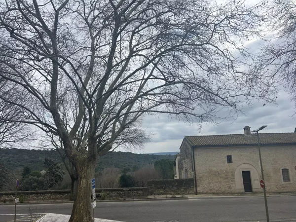 Flat Rue du Portalet in Uzès
