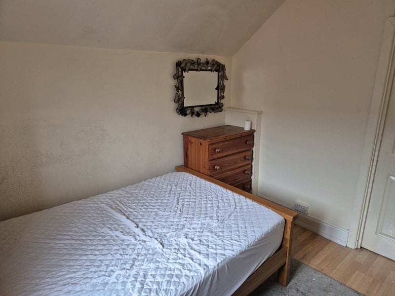 Room Angus Street in Cardiff
