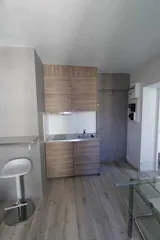 Flat Rue de Paris in Grenoble