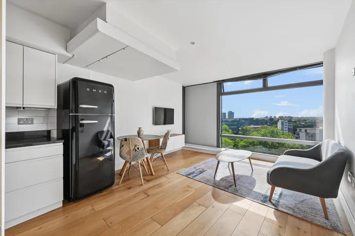 Flat Albert Embankment in Greater London
