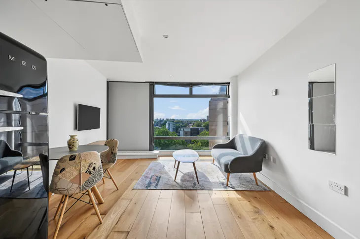 Flat Albert Embankment in Greater London