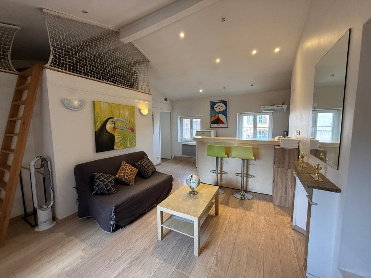 Flat Rue du Languedoc in Toulouse