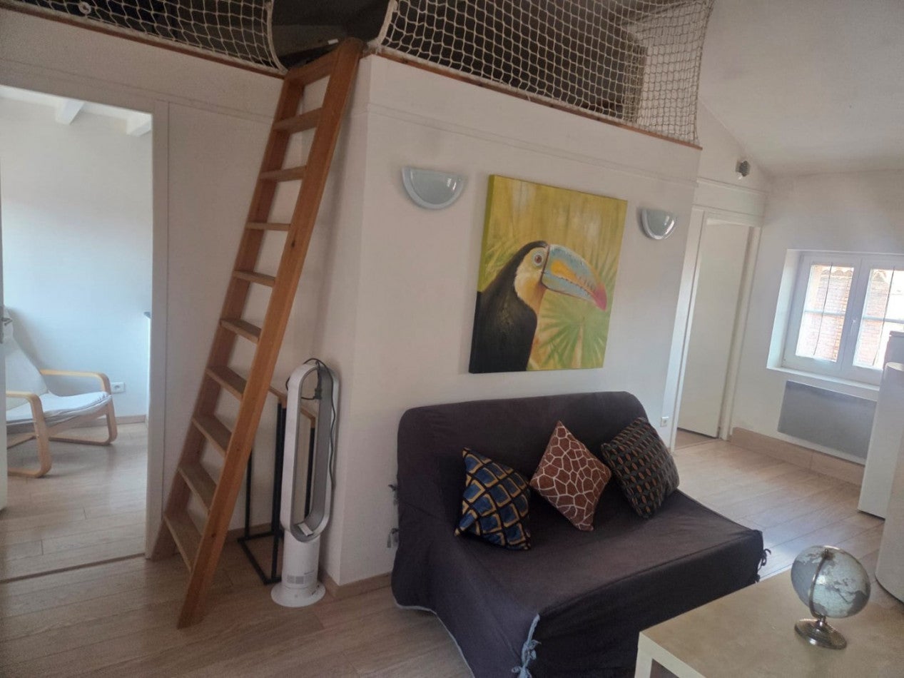 Appartement Rue du Languedoc à Toulouse