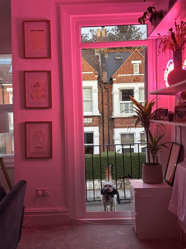 Room Hawarden Grove in Greater London