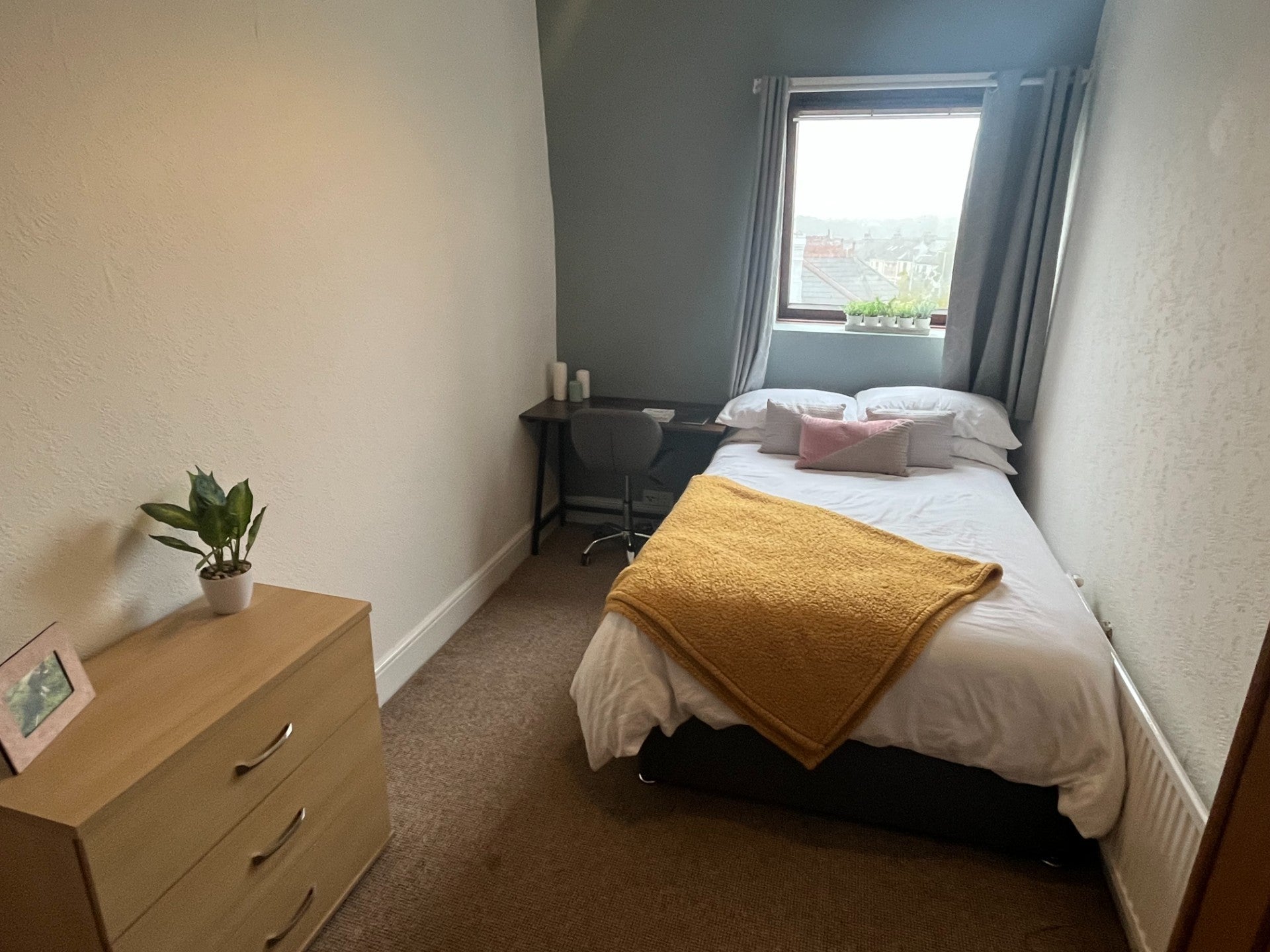 Room North Hill in Plymouth