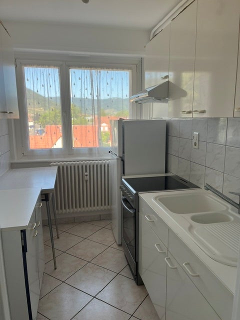 Appartement Rue du Vignoble à Wintzenheim