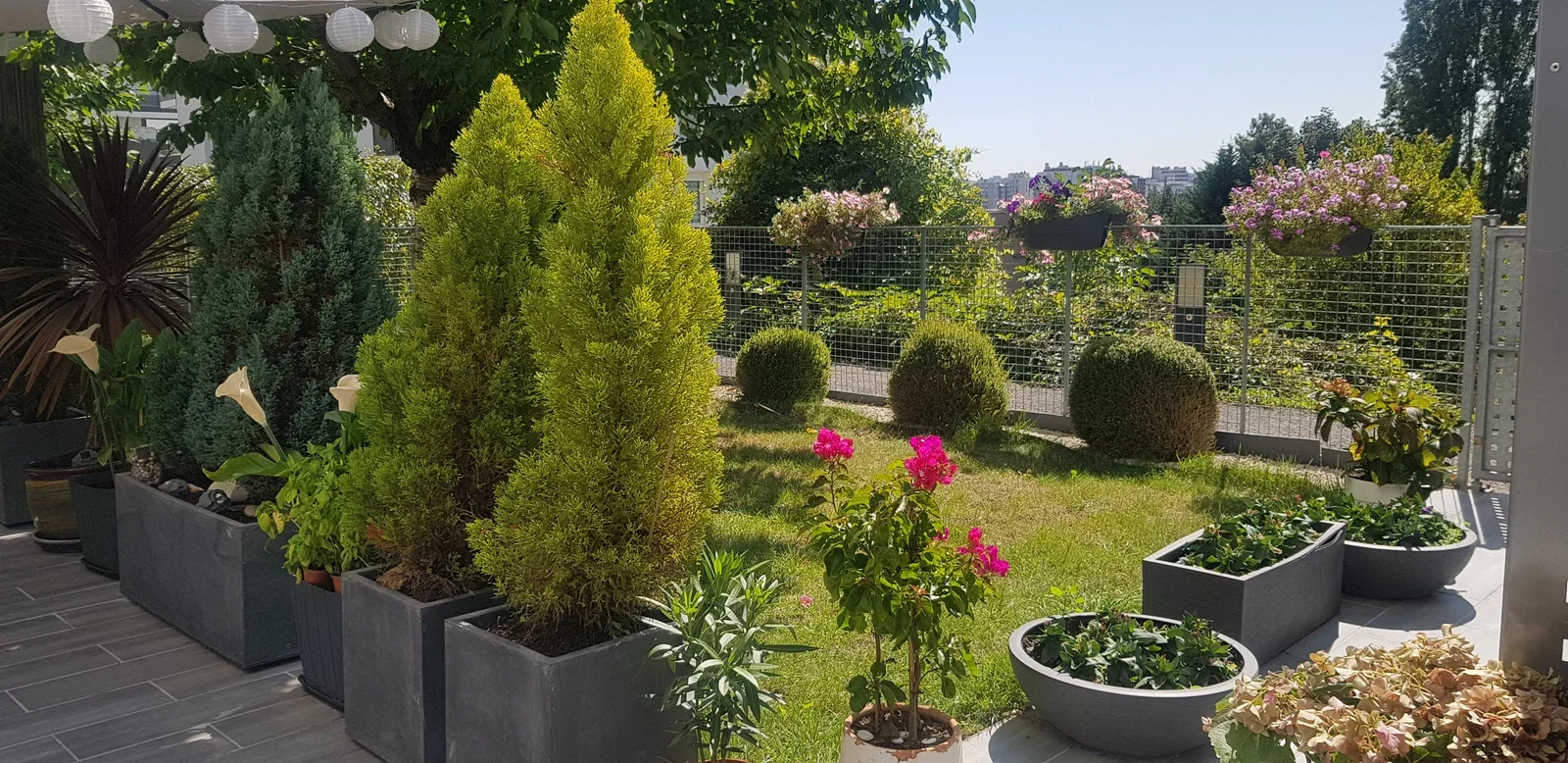 Room Rue des Pichets in Bagneux