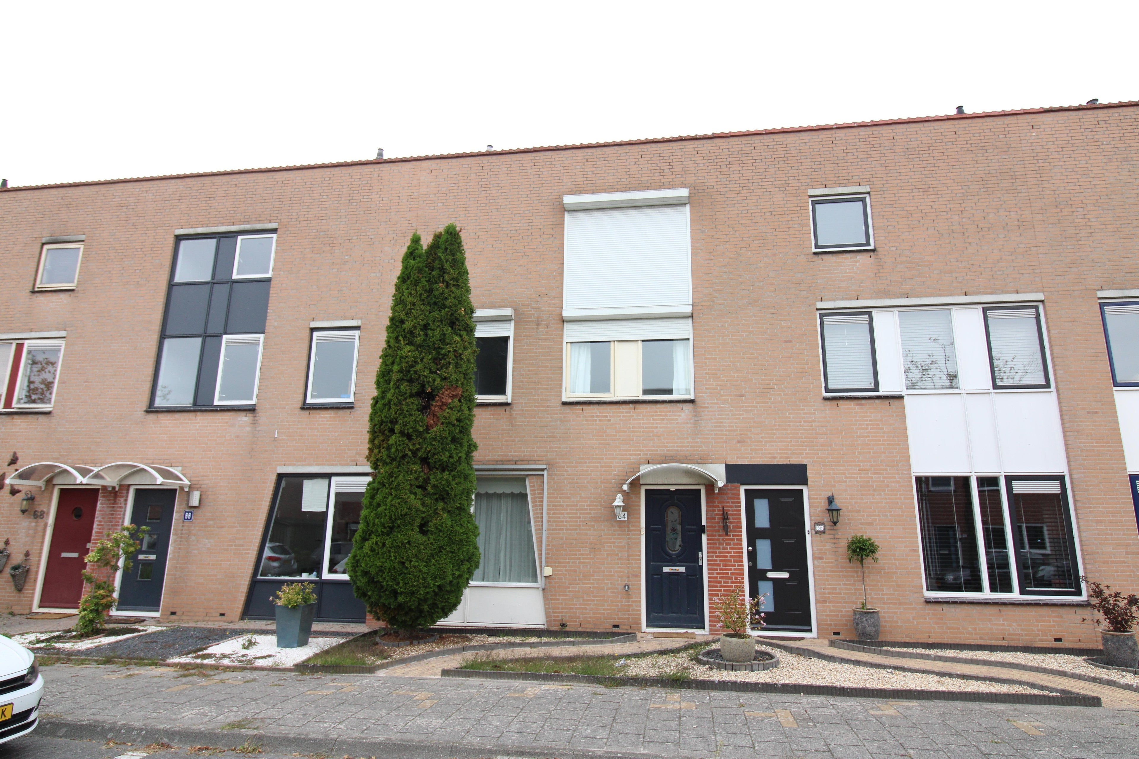 House Gelaarsde Kat