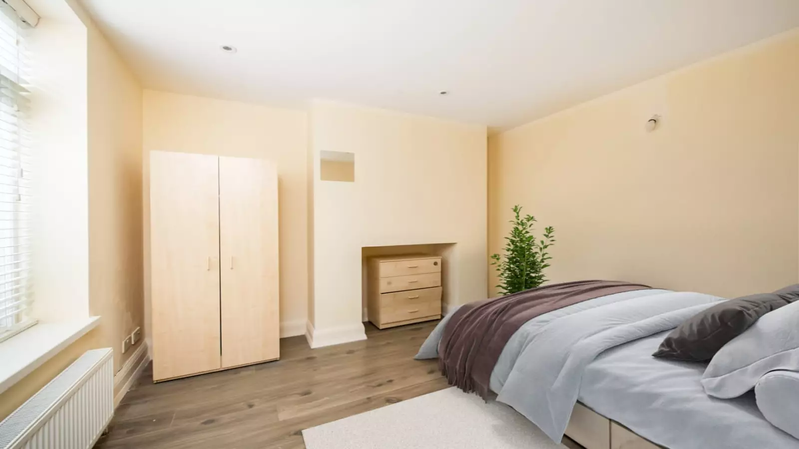 Room Tachbrook Street in City of Westminster
